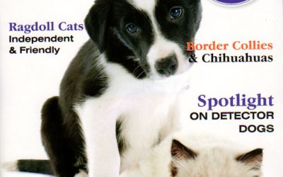 Dogs and Pet Magazine 2015 issue.2