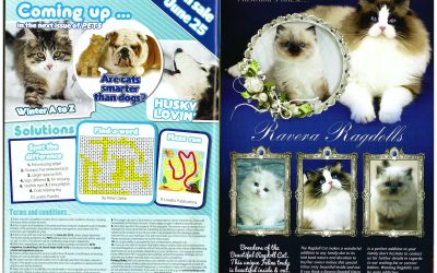 Recommendation in Books and Magazines
